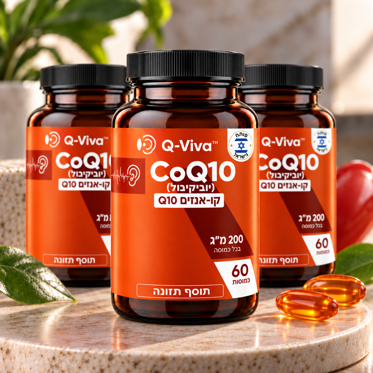 Q-Viva